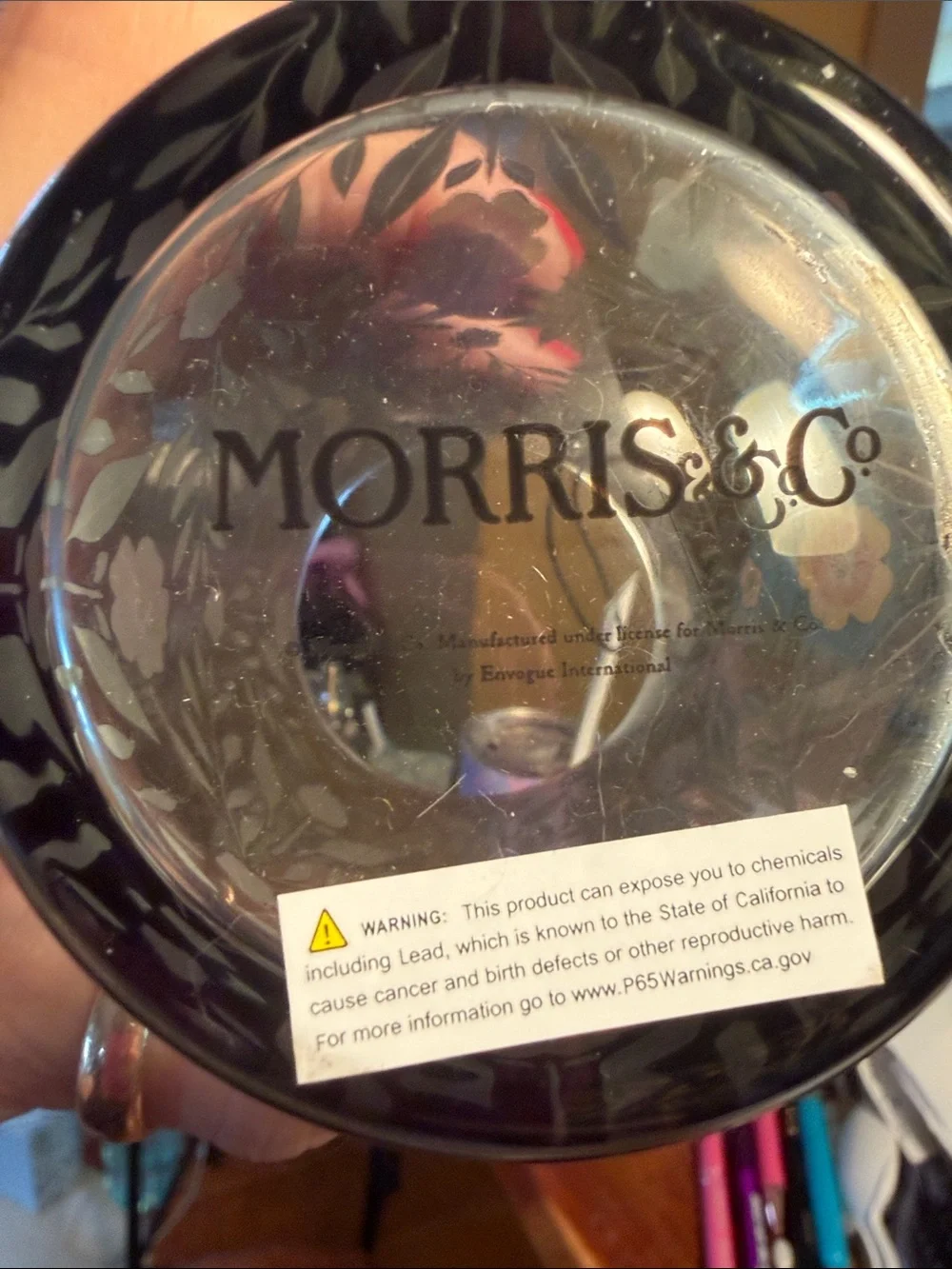 Morris & Co. NWT Woodland Weeds Floral Glass Soap Dispenser & Tumbler Set